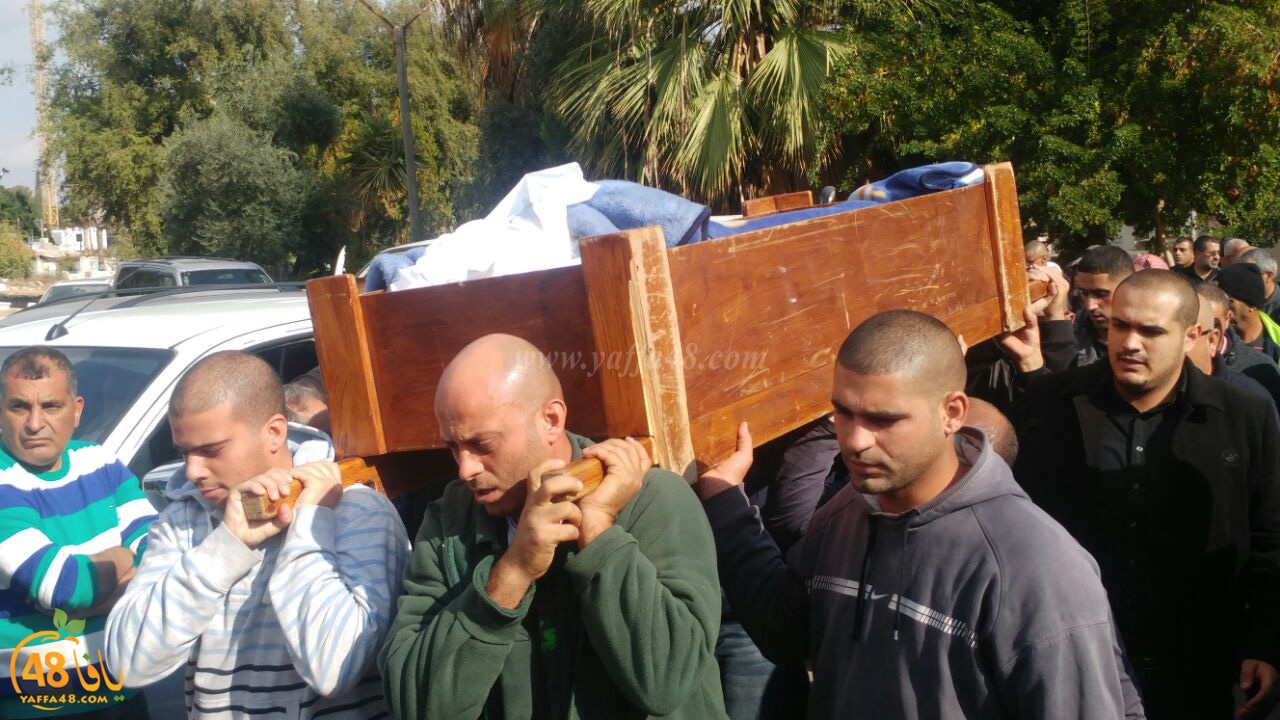 tashye3 abo kashef (4).jpg